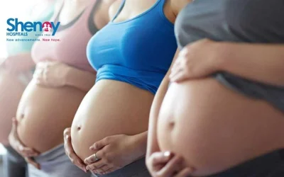 What are the pregnancy trimesters?